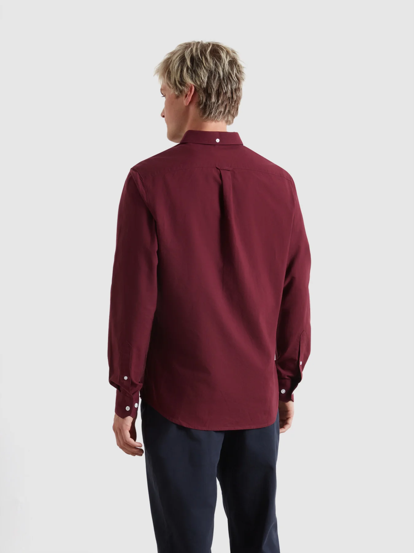 Brewer ls bd