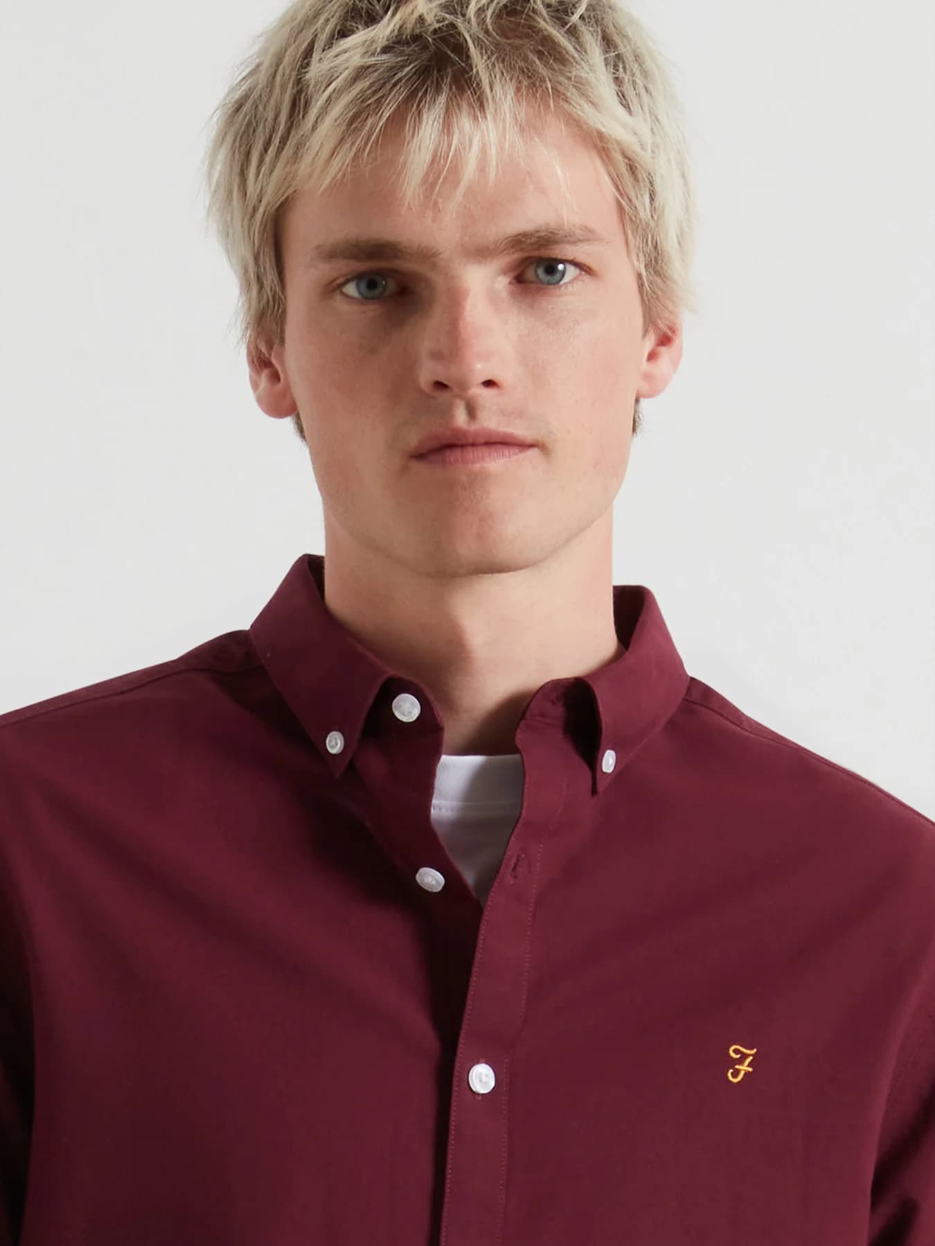 Brewer ls bd